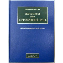 Trattato breve della responsabilità civile