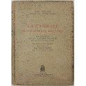 La cambiale ed i suoi rapporti col diritto civile.