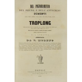 Del pignoramento del pegno e dell'anticresi