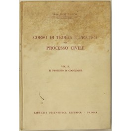 Corso di teoria e pratica del processo civile