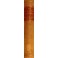 The Constitution of the United States. Yesterday t