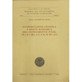 Interpretazione giuridica e realtà economica 