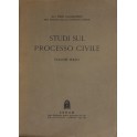 Studi sul processo civile