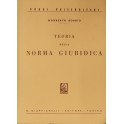 Teoria della norma giuridica