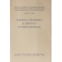 Scienza giuridica e diritto internazionale