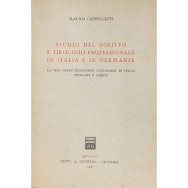 Studio del diritto e tirocinio professionale Studio del diritto e tirocinio professionale