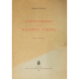 L'ordinamento delle Nazioni Unite