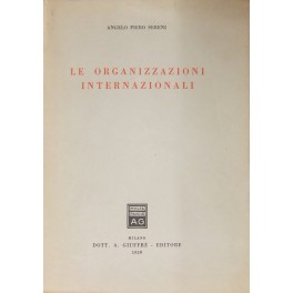 Le organizzazioni internazionali
