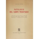 Patologie nel campo tributario. L'applicazione del
