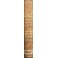 Manuale forense ossia confronto fra il Codice Albertino il diritto romano
