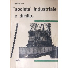 Società industriale e diritto