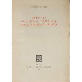 Appunti su alcuni problemi della norma giuridica