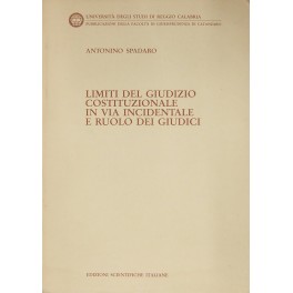 Limiti del giudizio costituzionale