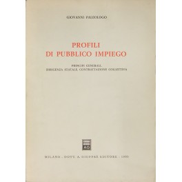 Profili di pubblico impiego