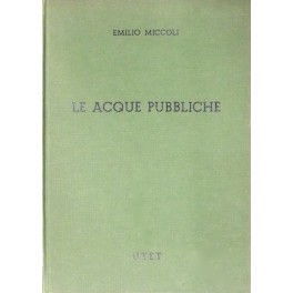 Le acque pubbliche