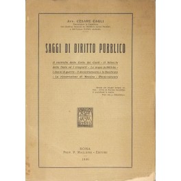 Saggi di diritto pubblico