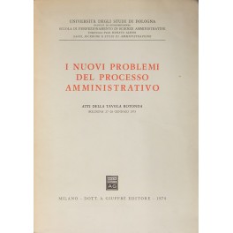 I nuovi problemi del processo amministrativo. 