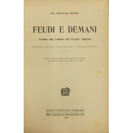 Feudi e demani. Eversione della Feudalità nelle Provincie Napoletane. 