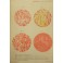 Manuale di medicina legale.