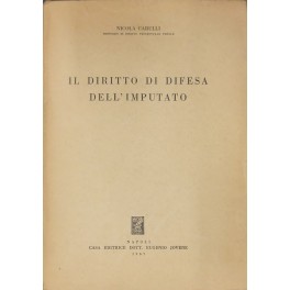 Il diritto di difesa dell'imputato