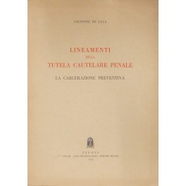 Lineamenti della tutela cautelare penale