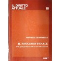 Il processo penale nella giurisprudenza 