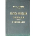 La pratica giudiziaria penale 