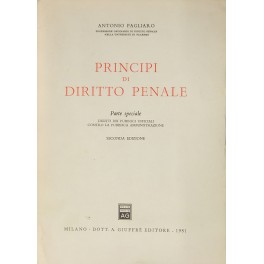 Principi di diritto penale