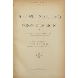 Potere esecutivo e norme giuridiche Potere esecutivo e norme giuridiche