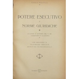 Potere esecutivo e norme giuridiche