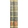 Antonii Matthaei.. Commentarius ad Lib XLVII et XLVIII Dig. De criminibus