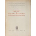 Principi di diritto sindacale nel sistema della co