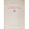 Problemi del processo civile