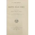 Del diritto delle acque