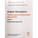 Della tutela giurisdizionale dei diritti. Tomo I -