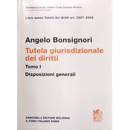 Della tutela giurisdizionale dei diritti. 