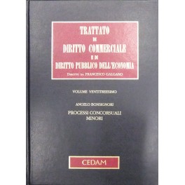 Processi concorsuali minori Processi concorsuali minori