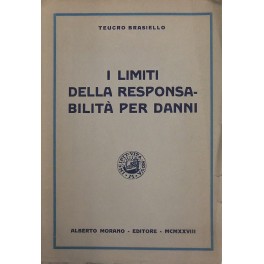 I limiti della responsabilità per danni