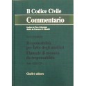 Responsabilità per fatto degli ausiliari. Art. 1228-1229