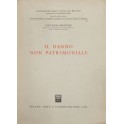 Il danno non patrimoniale