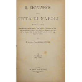 Il risanamento della città di Napoli