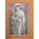 Il canzoniere. Illustrato da Dante Gabriele Rossetti