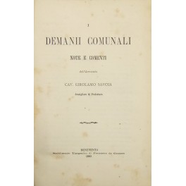 Demanii comunali. Note e commenti Demanii comunali. Note e commenti