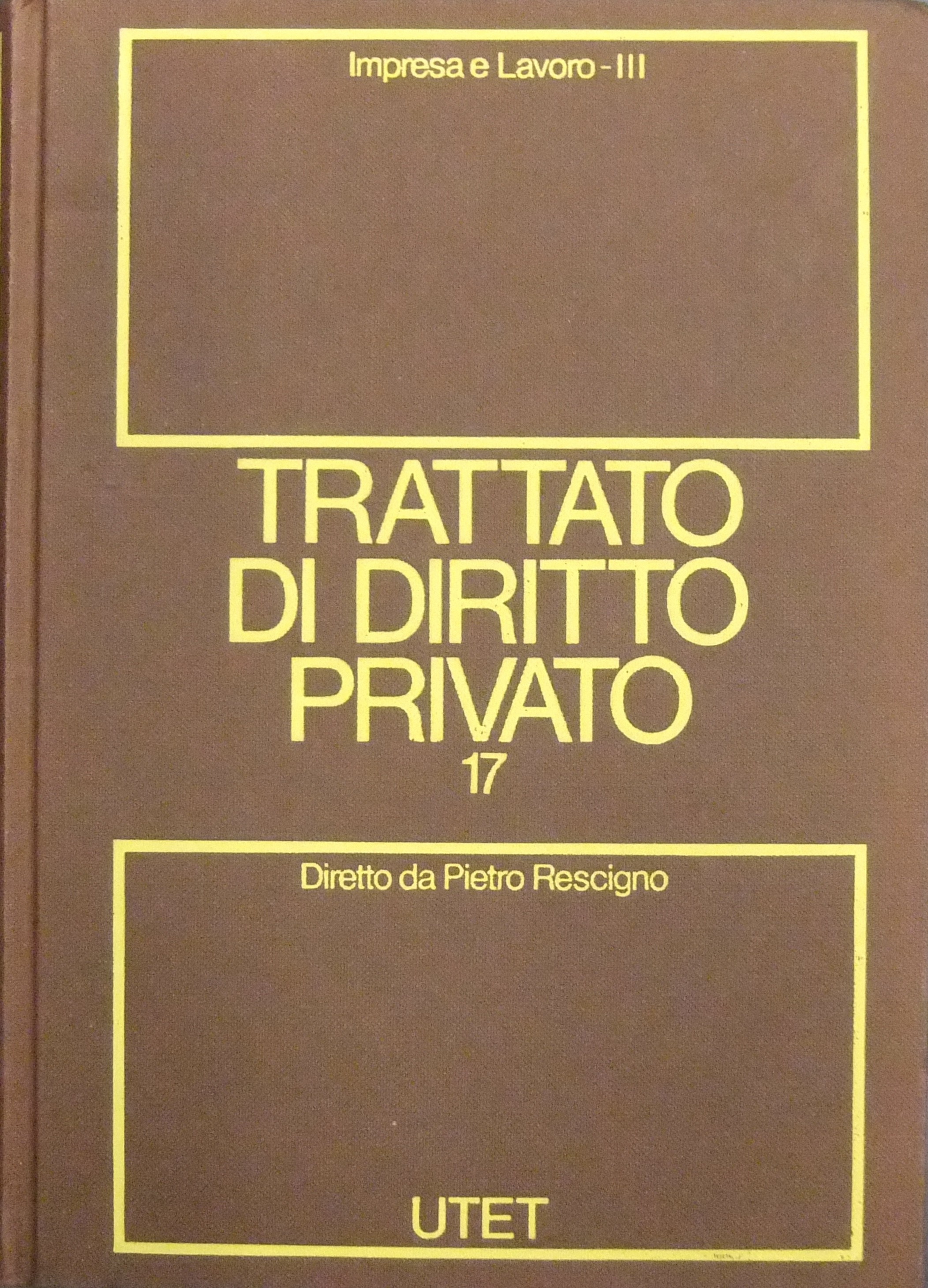 Trattato di diritto privato. Vol. XVII, tomo III - Impresa e lavoro