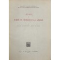 Lezioni di diritto processuale civile. 