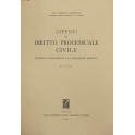 Appunti di diritto processuale civile. 