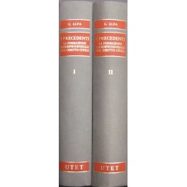 I precedenti. La formazione giurisprudenziale del diritto civile I precedenti. La formazione giurisprudenziale del diritto civile