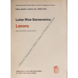 Disciplina delle attività professionali. Impresa in generale. Art. 2060-2134