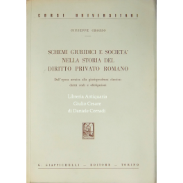 Schemi Giuridici E Societa Nella Storia Del Diritto Privato Romano Dall Epoca Arcaica Alla Giurisprudenza Classica