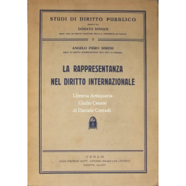 La rappresentanza nel diritto internazionale